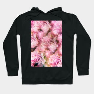 Pale pink rose bush photographed through a prism filter Hoodie